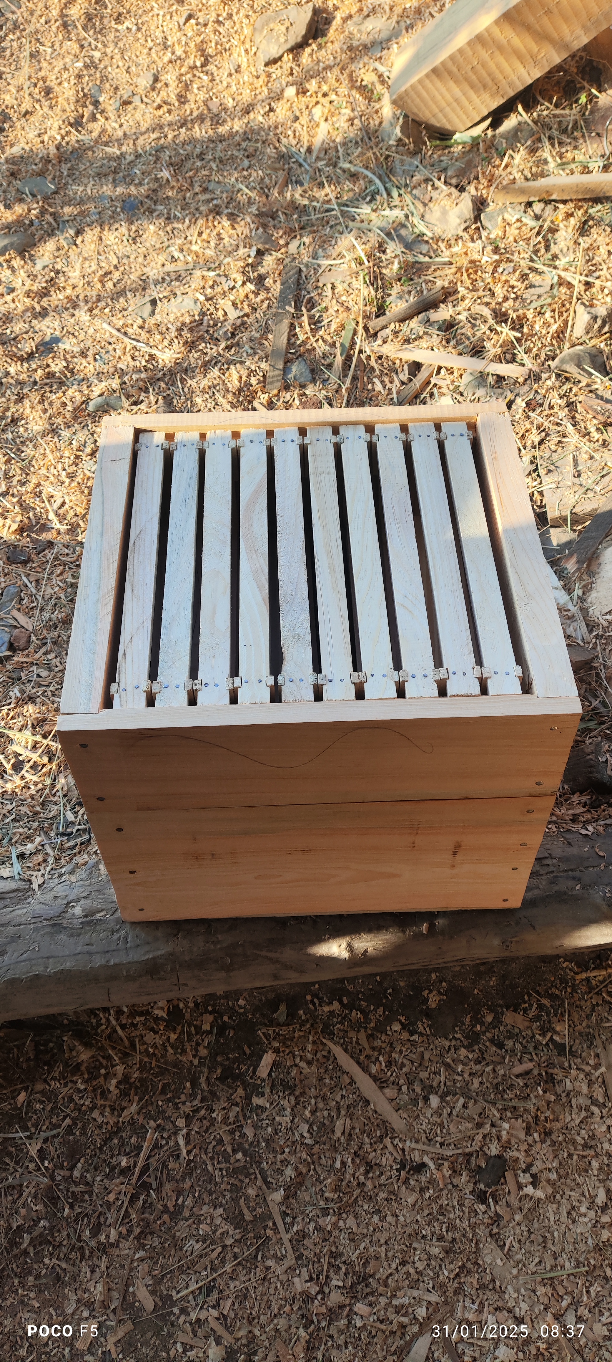 New Hive with Frames